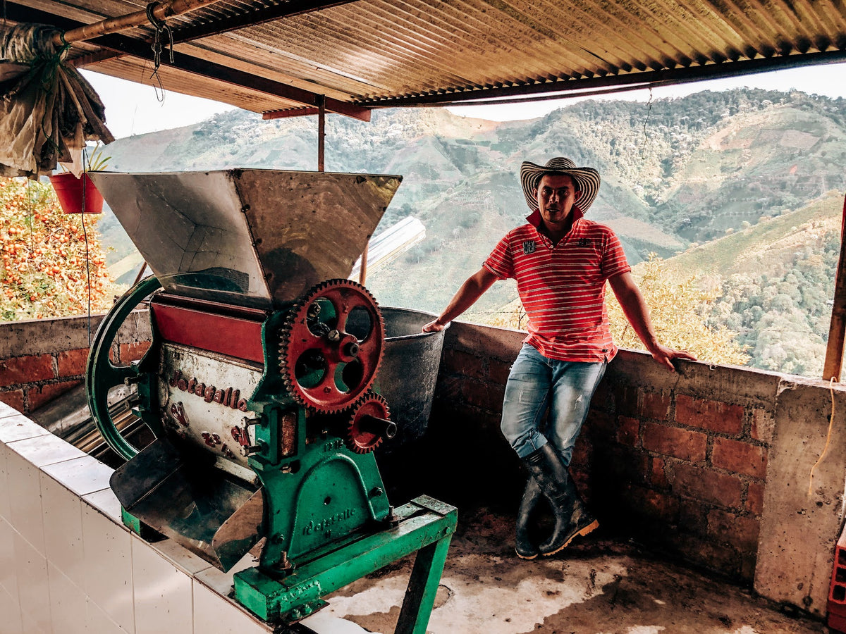 Risaralda Decaf Regional Blend