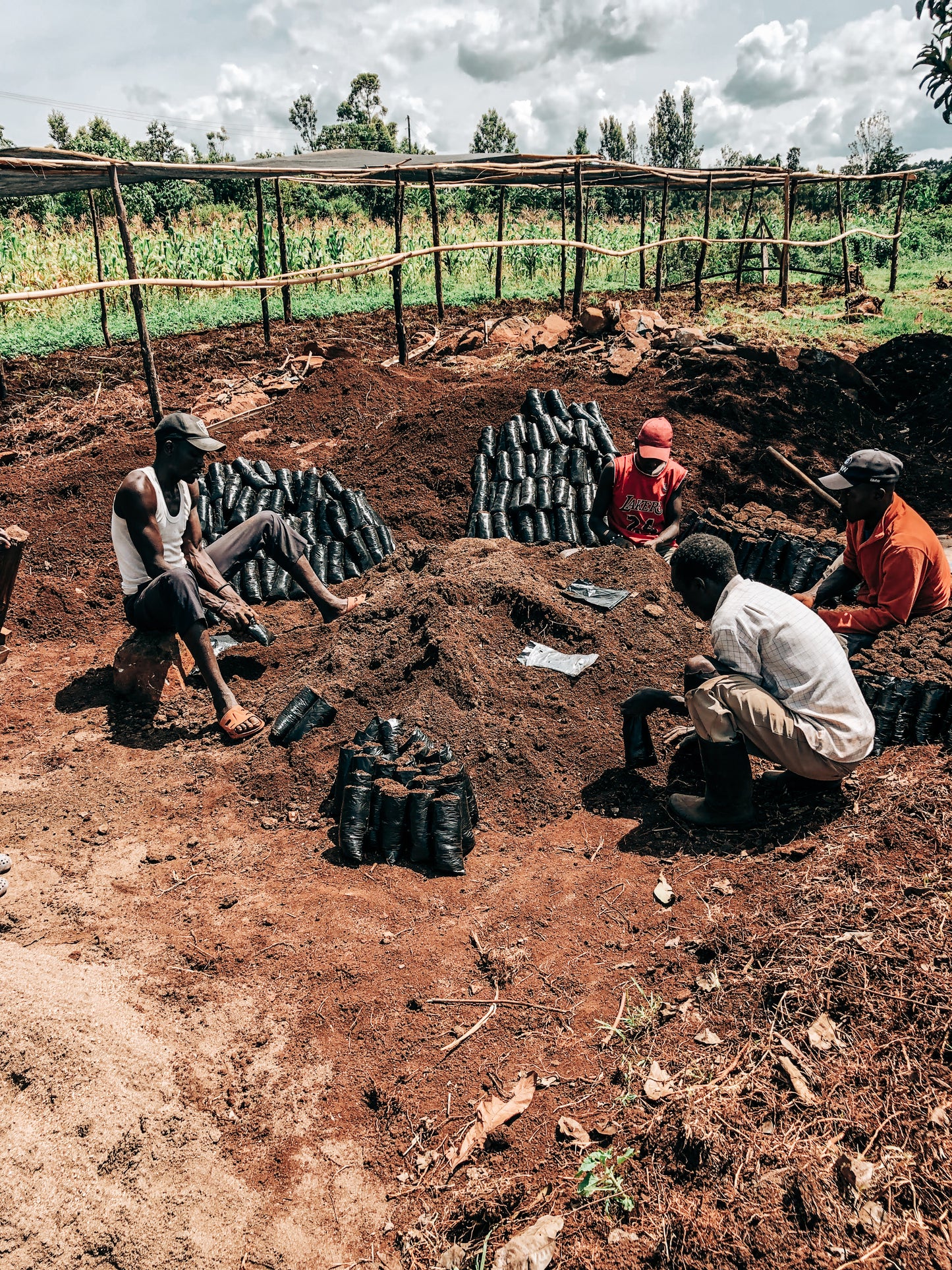 Kericho County AA - Kenyan Decaf