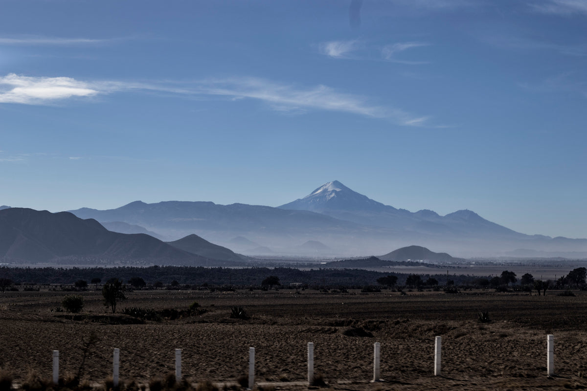 MW Decaf Quetzal (Colheita 2024)