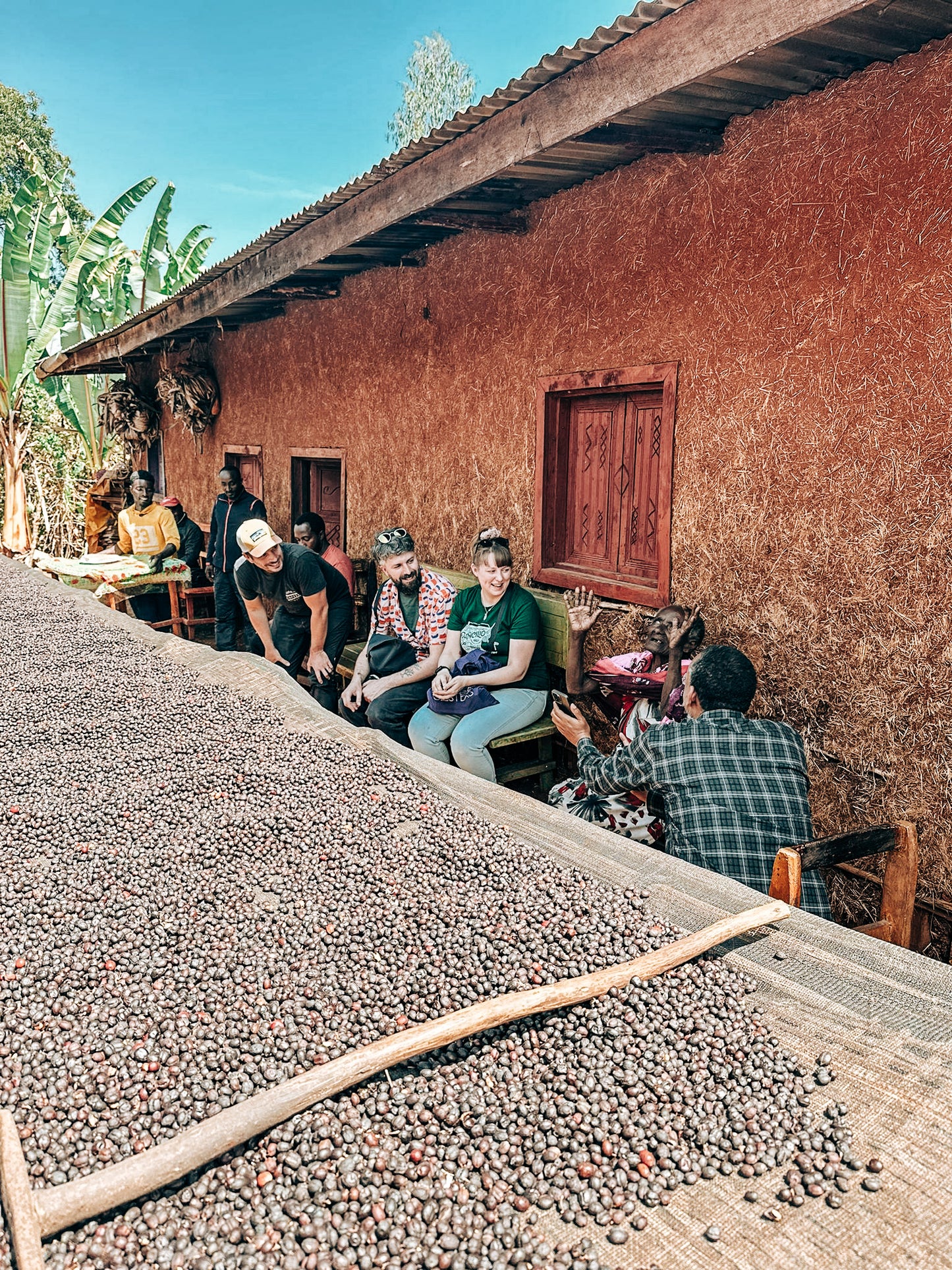 Aragash Gelcha Natural