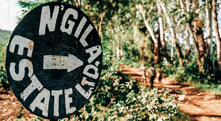 Ngila Estate Sign