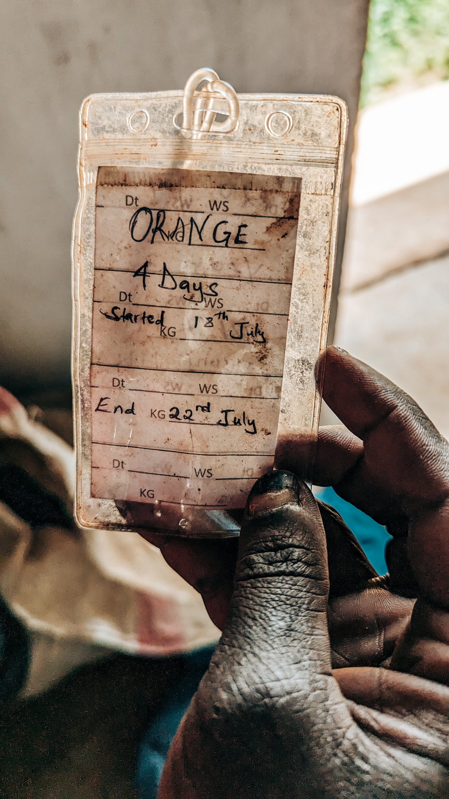 Kenya Orange CoFerment