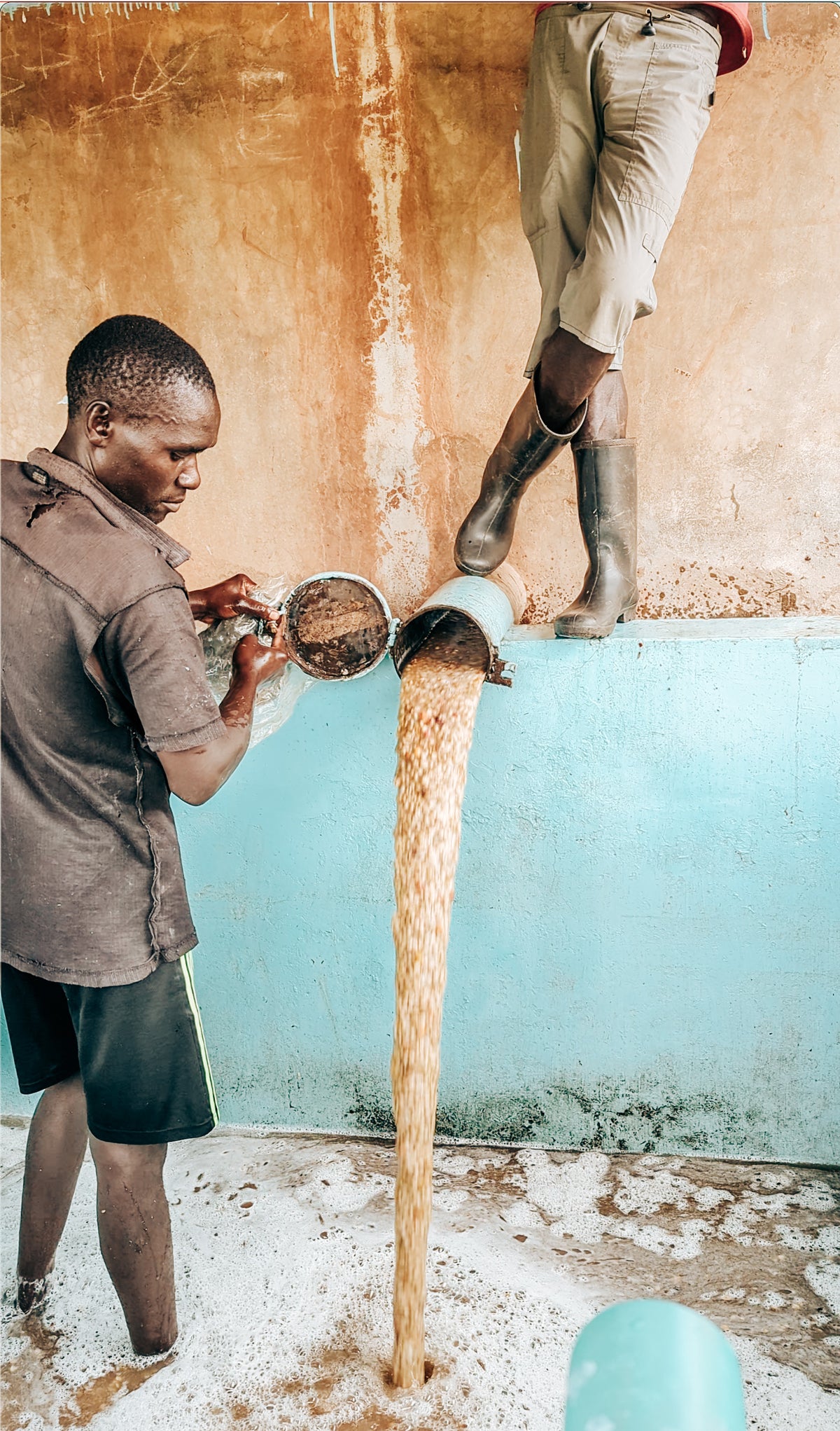 Kenya Orange CoFerment