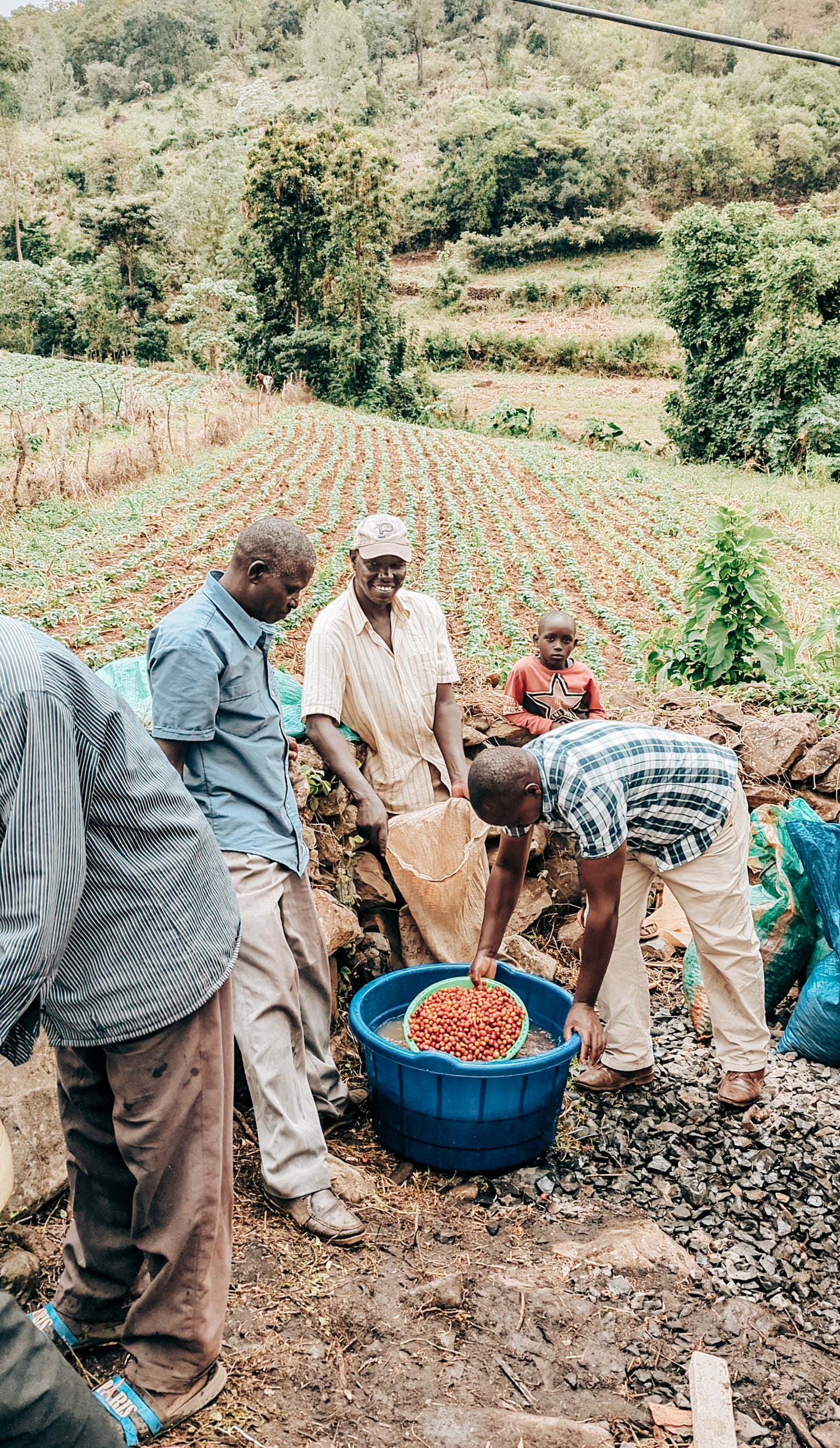 Kenya Orange CoFerment