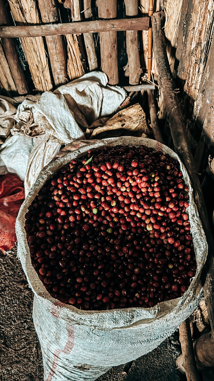 Bekele Balaycho Natural