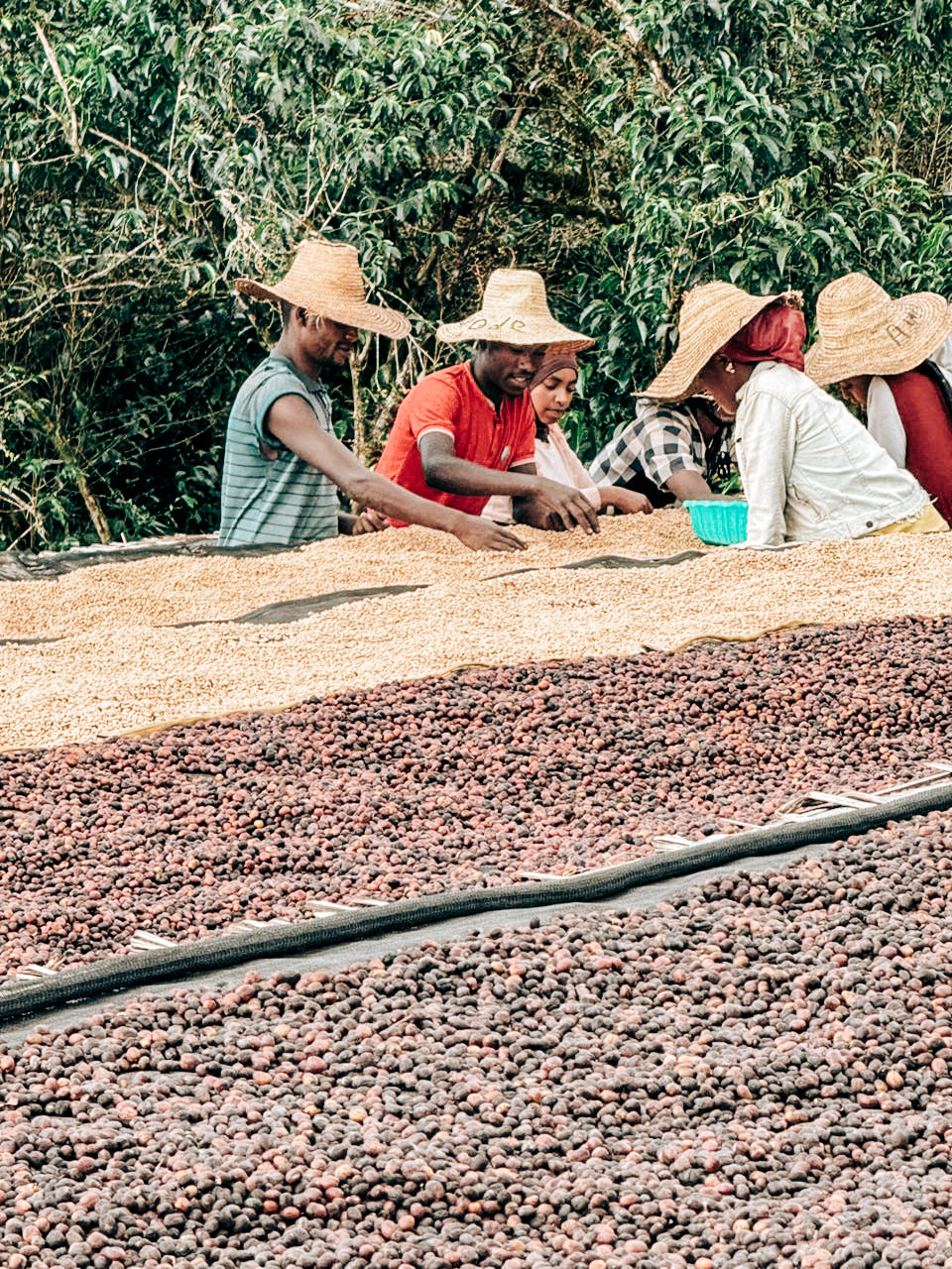 Bekele Balaycho Natural