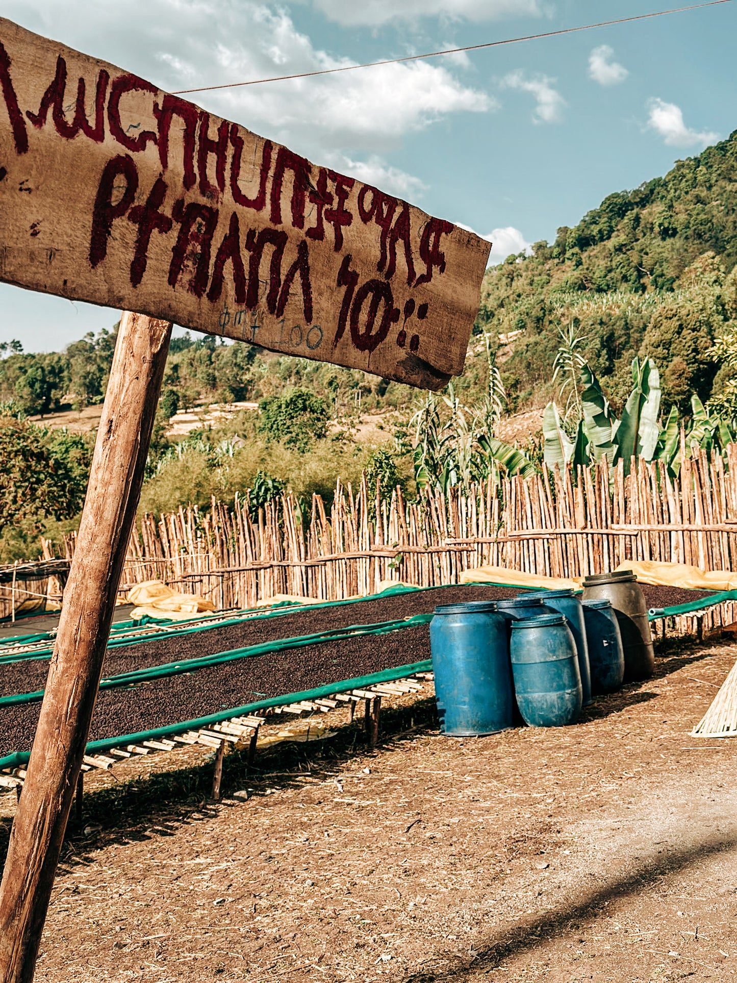 Bekele Balaycho Natural