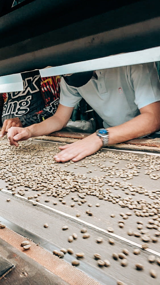 Kolumbien Excelso EP