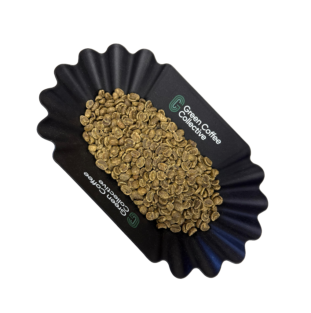 MW Decaf Quetzal