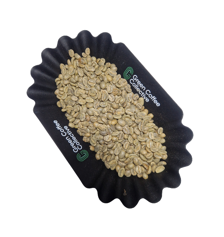 Timaná Community - Washed Castillo