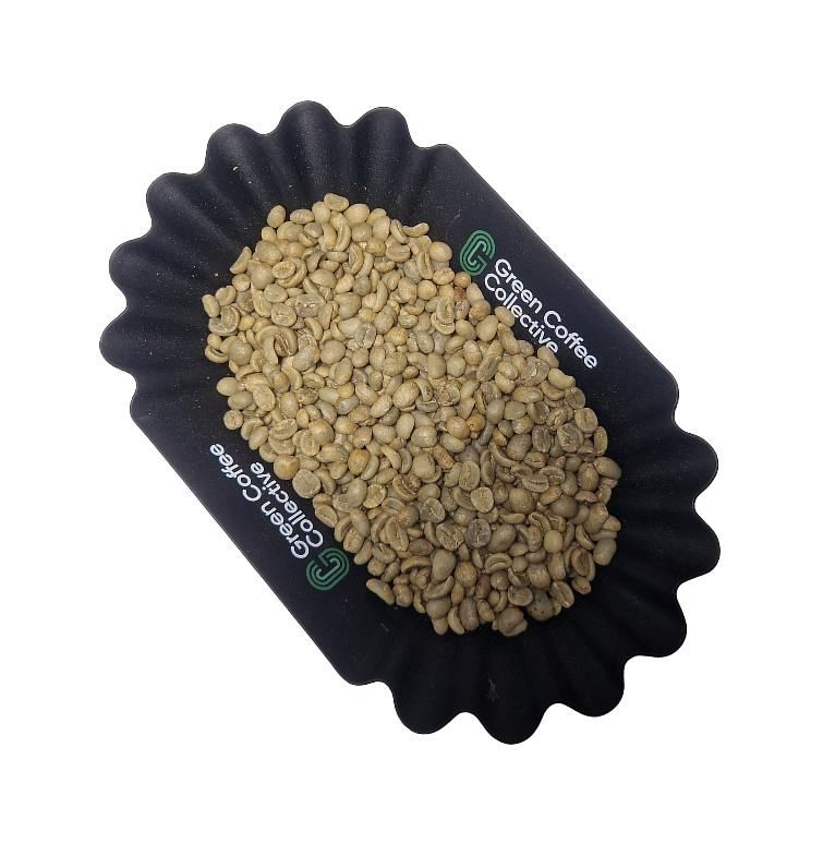 Washed Alko Kerinci Sumatra